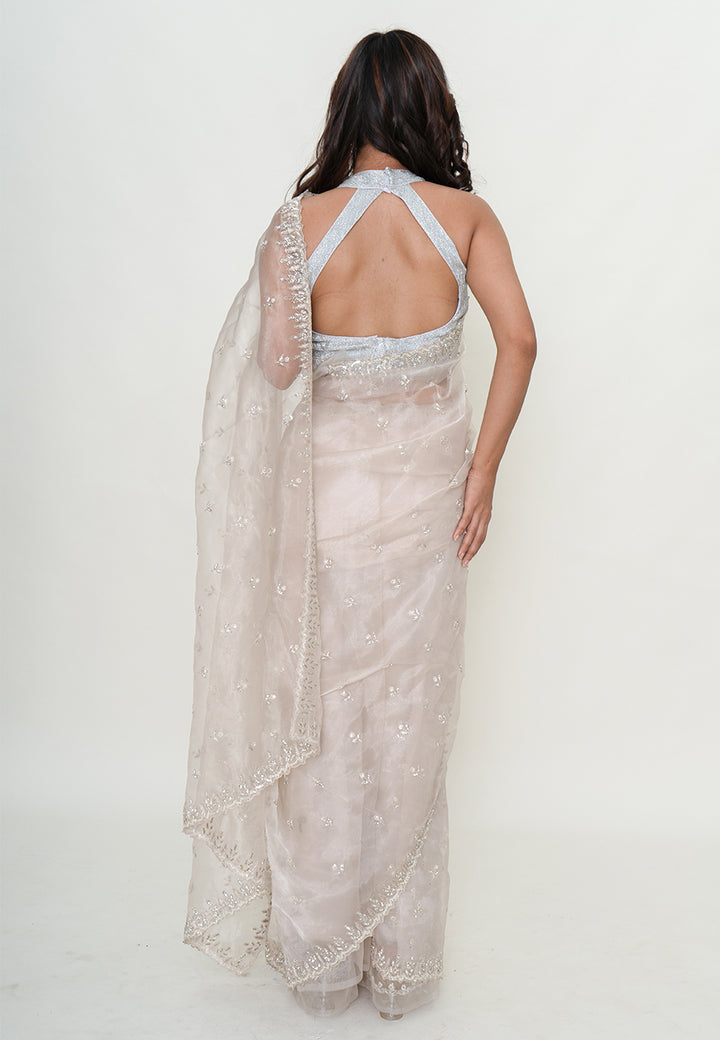Graceful net saree