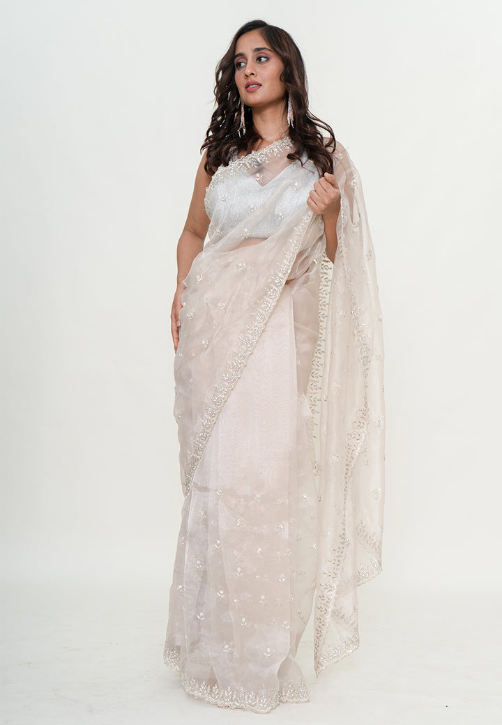 Graceful net saree