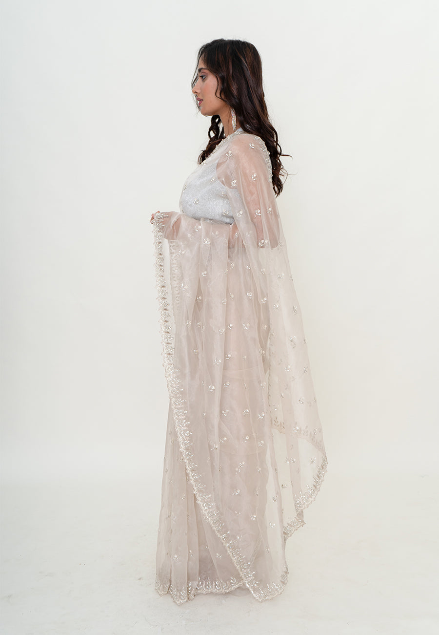 Graceful net saree